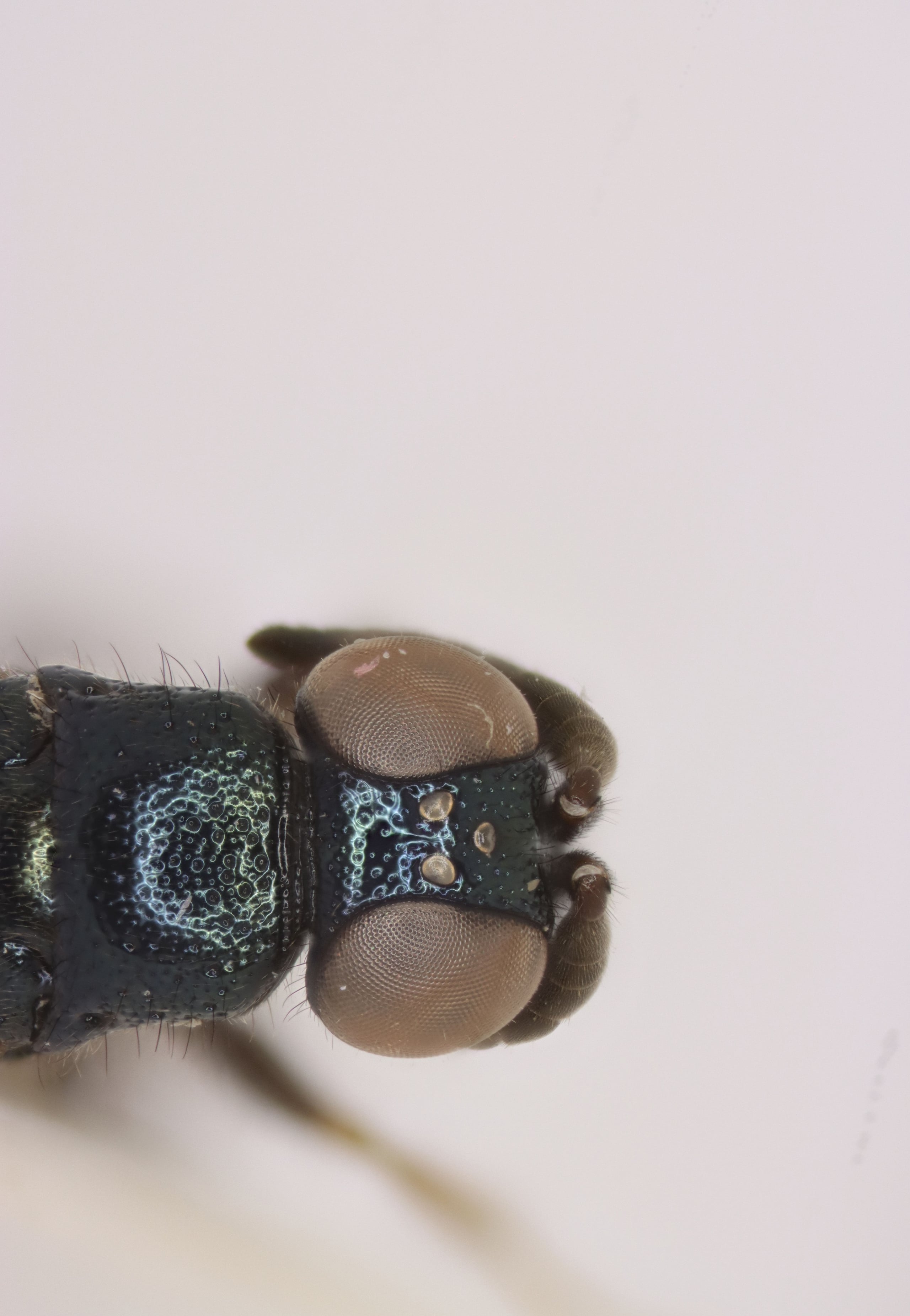 2025-12-28 15-25-43 (C,S4).jpg