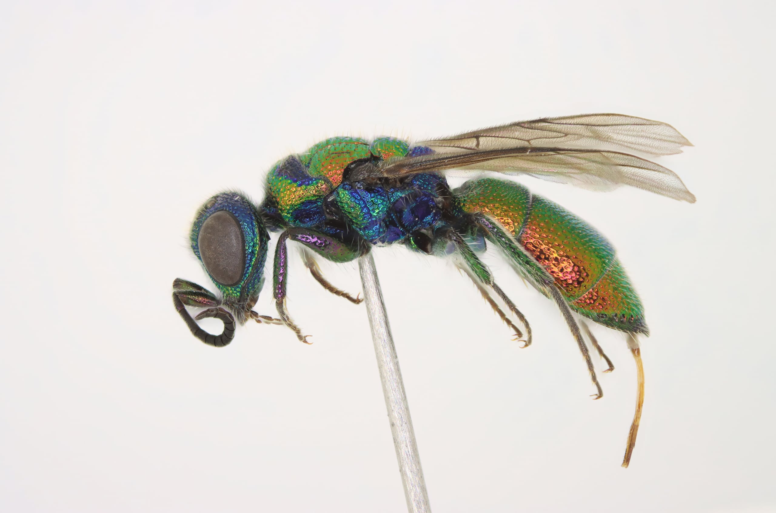 2025-04-05 15-44-14 (B,R8,S4).jpg