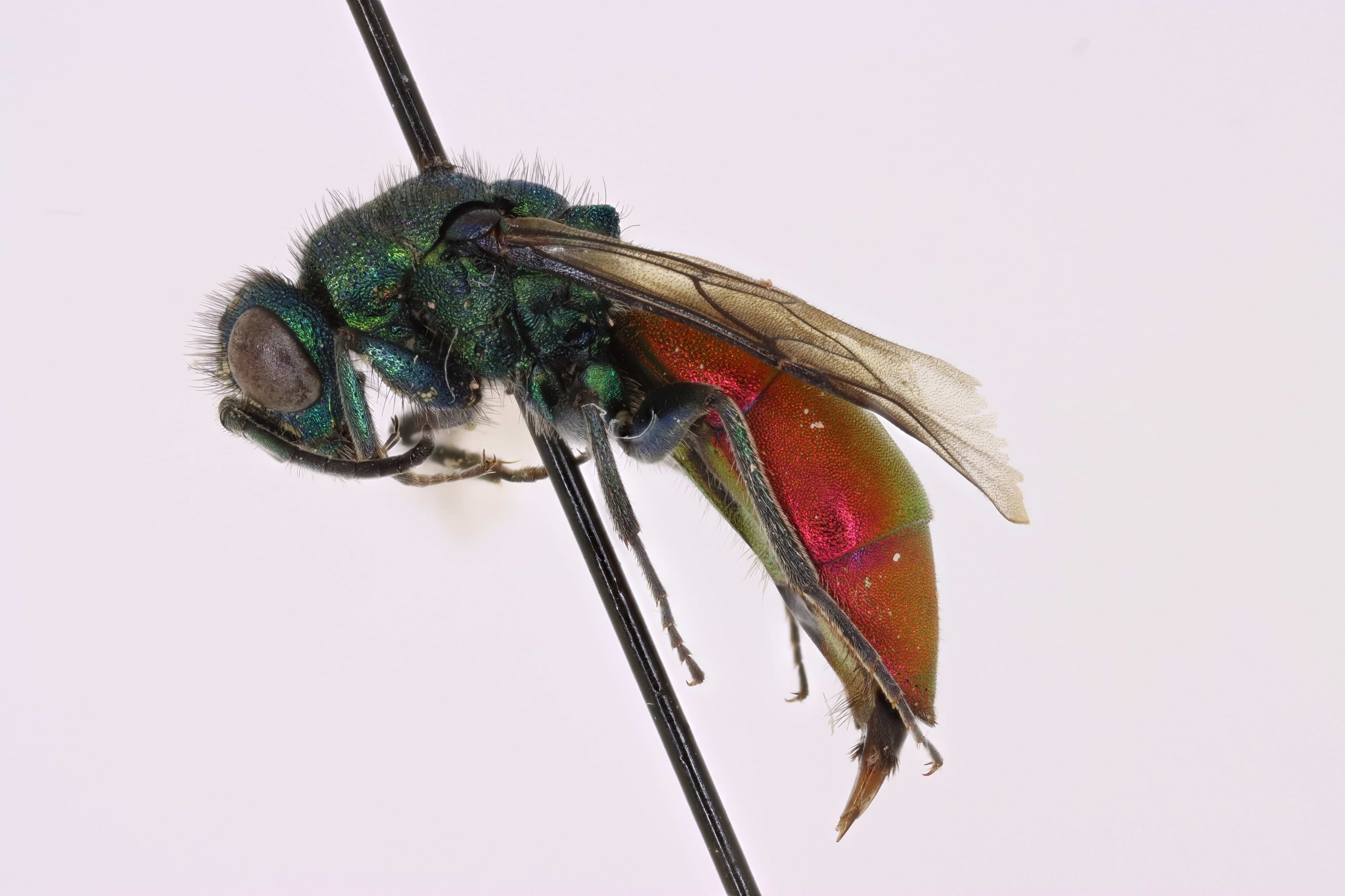 2025-12-25 15-02-25 (C,S4).jpg