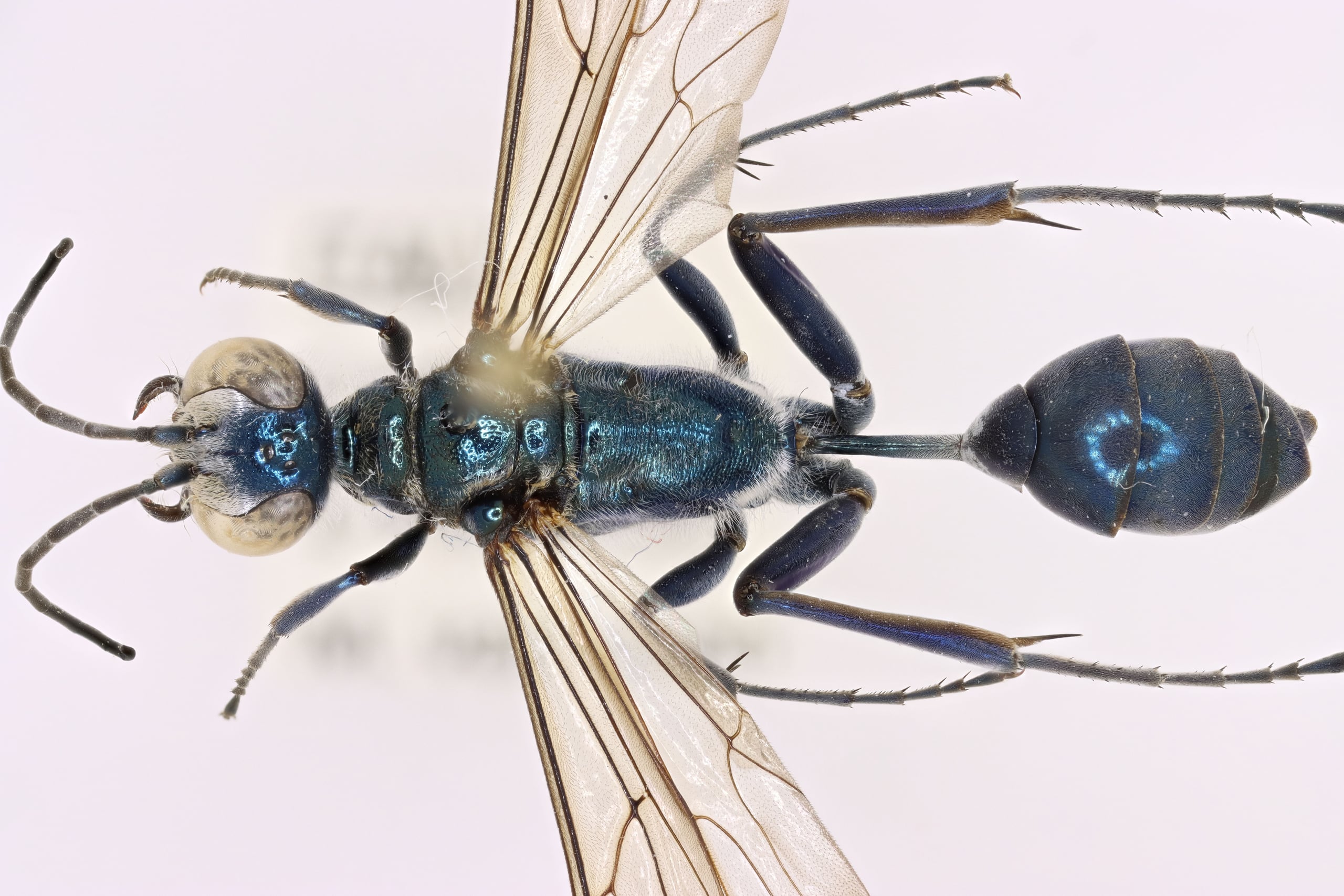 2025-12-28 15-29-11 (C,S4).jpg