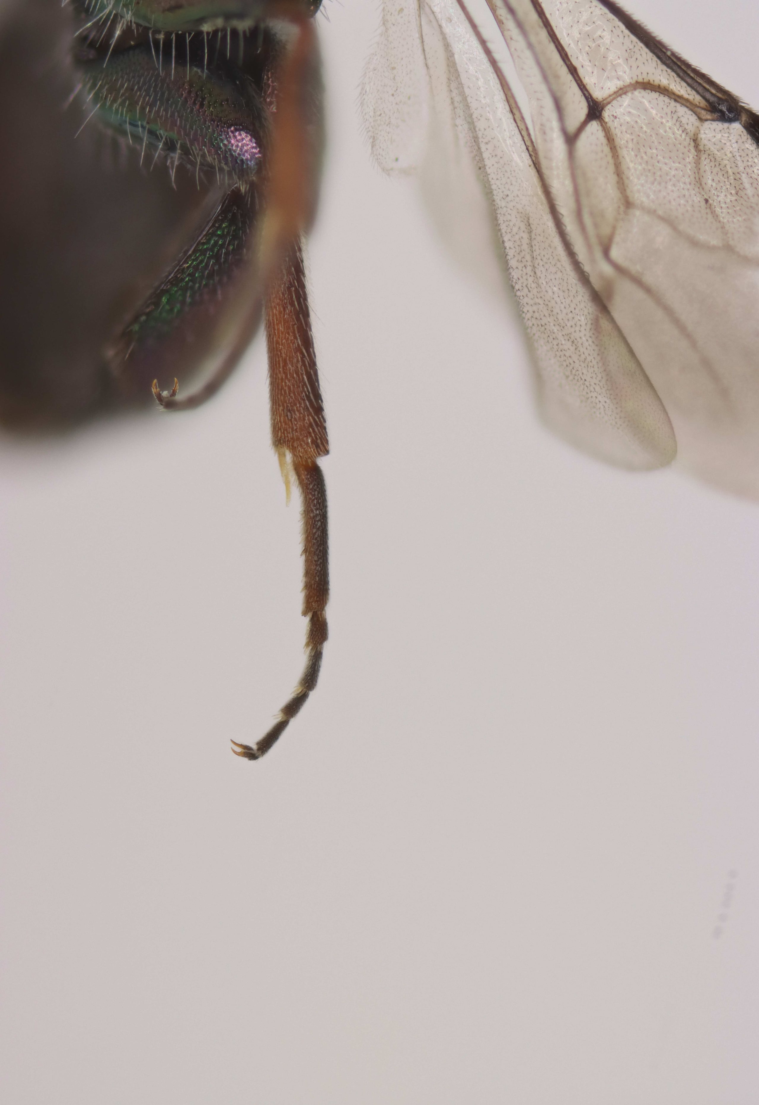 2025-07-01 23-08-28 (C,S5).jpg