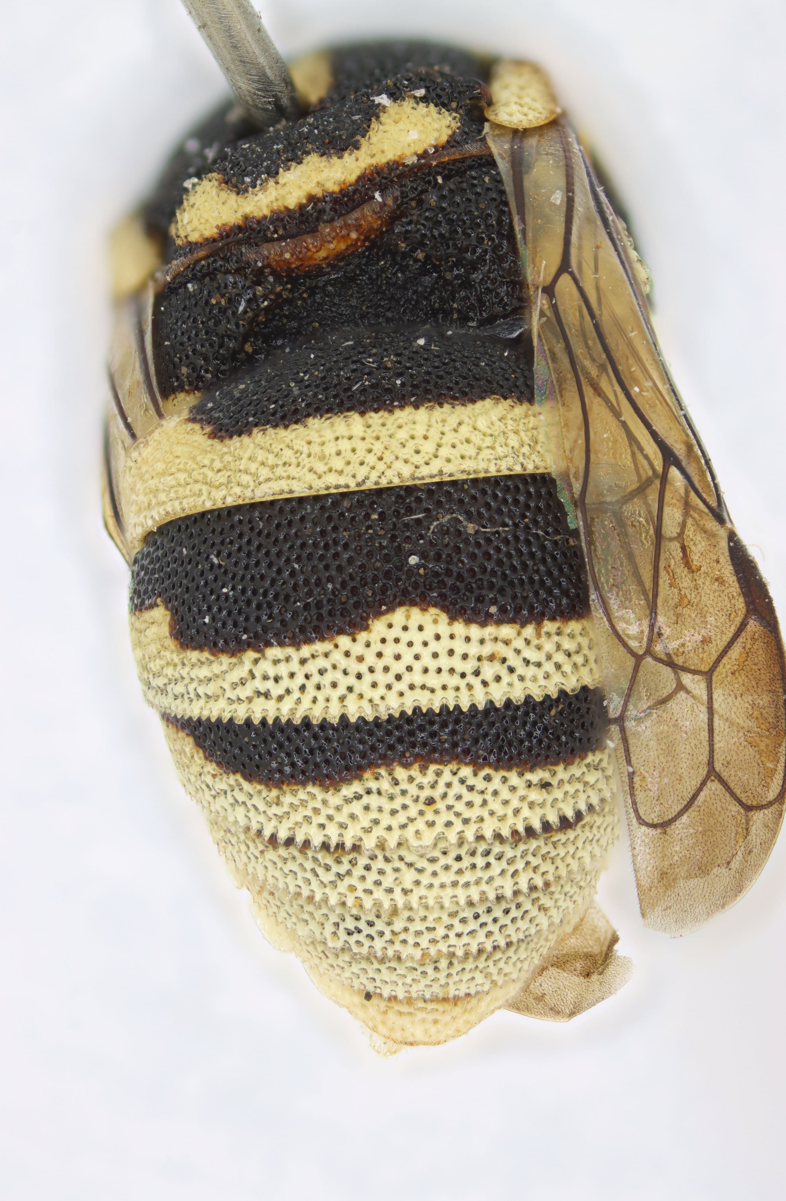 2025-03-23 19-03-52 (B,R8,S4).jpg