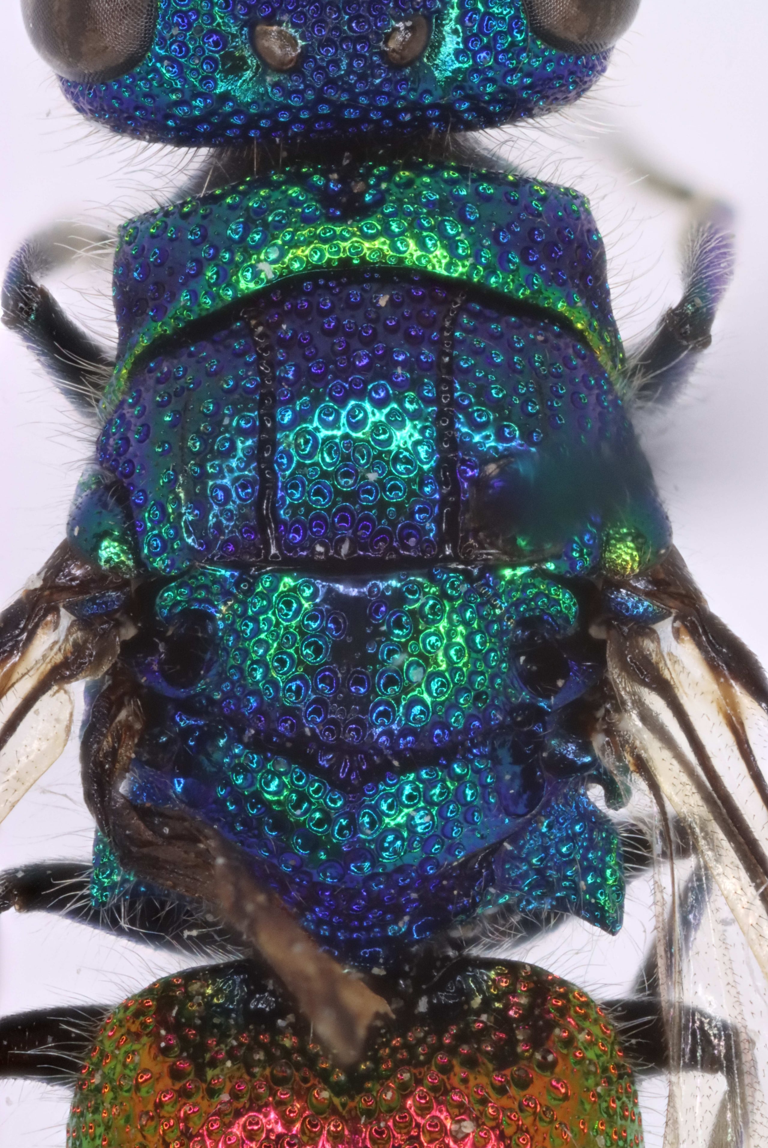 2025-09-17 10-34-30 (C,S5).jpg