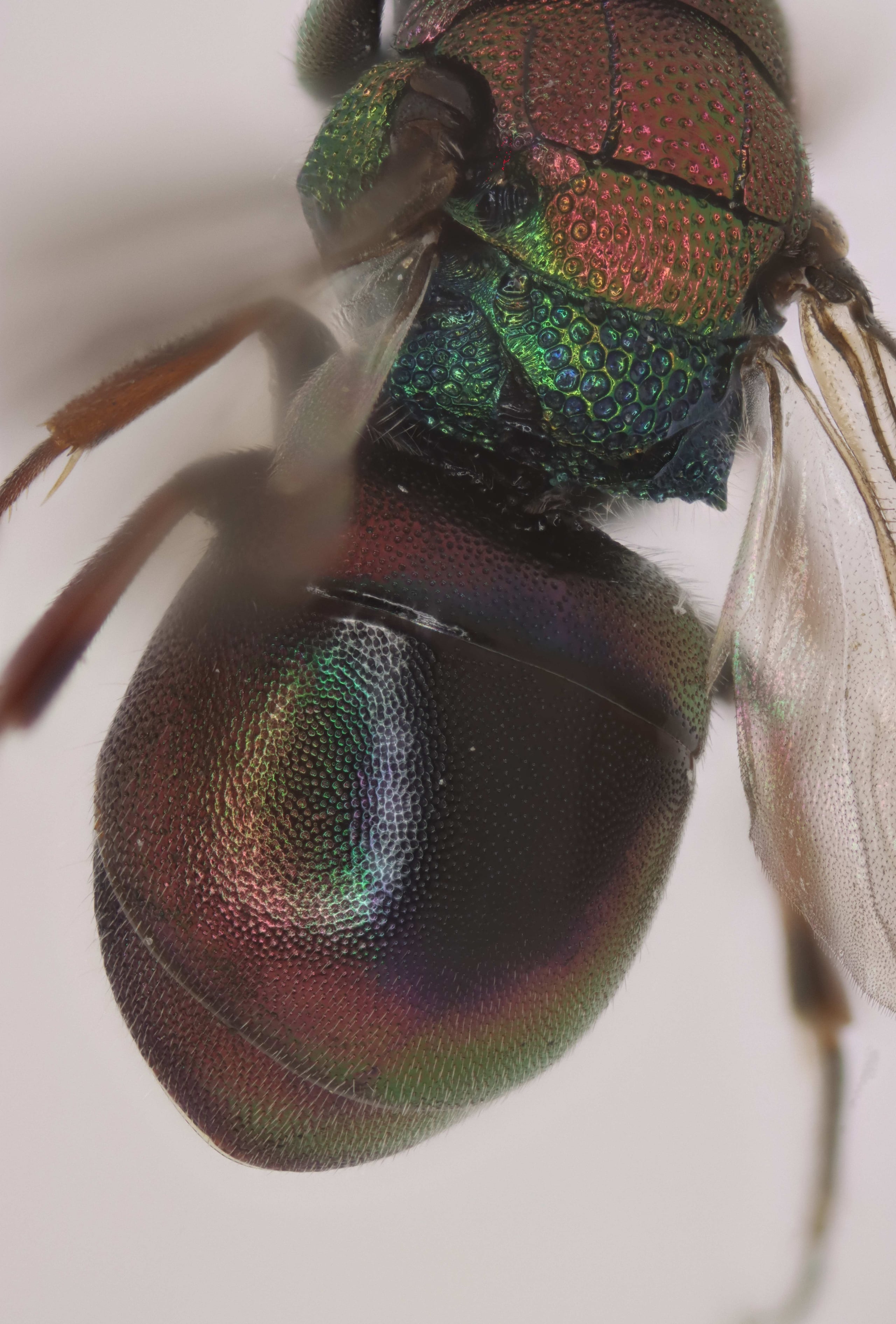 2025-07-01 23-07-56 (C,S5).jpg