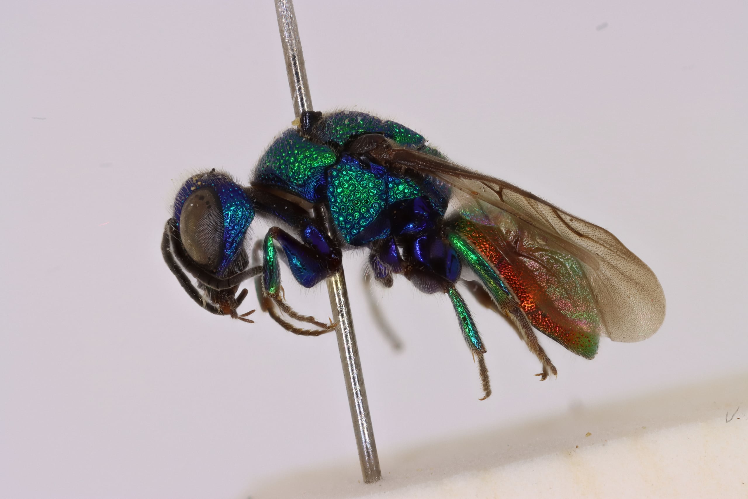 2026-01-02 13-24-13 (C,S4).jpg