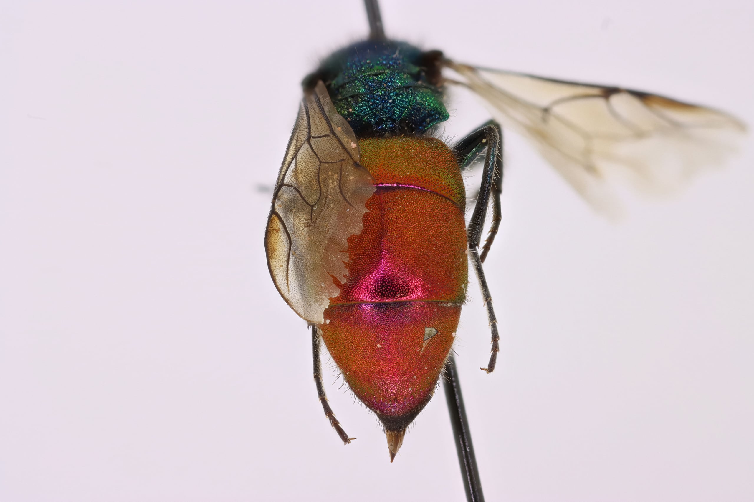 2026-01-05 12-21-12 (C,S4).jpg