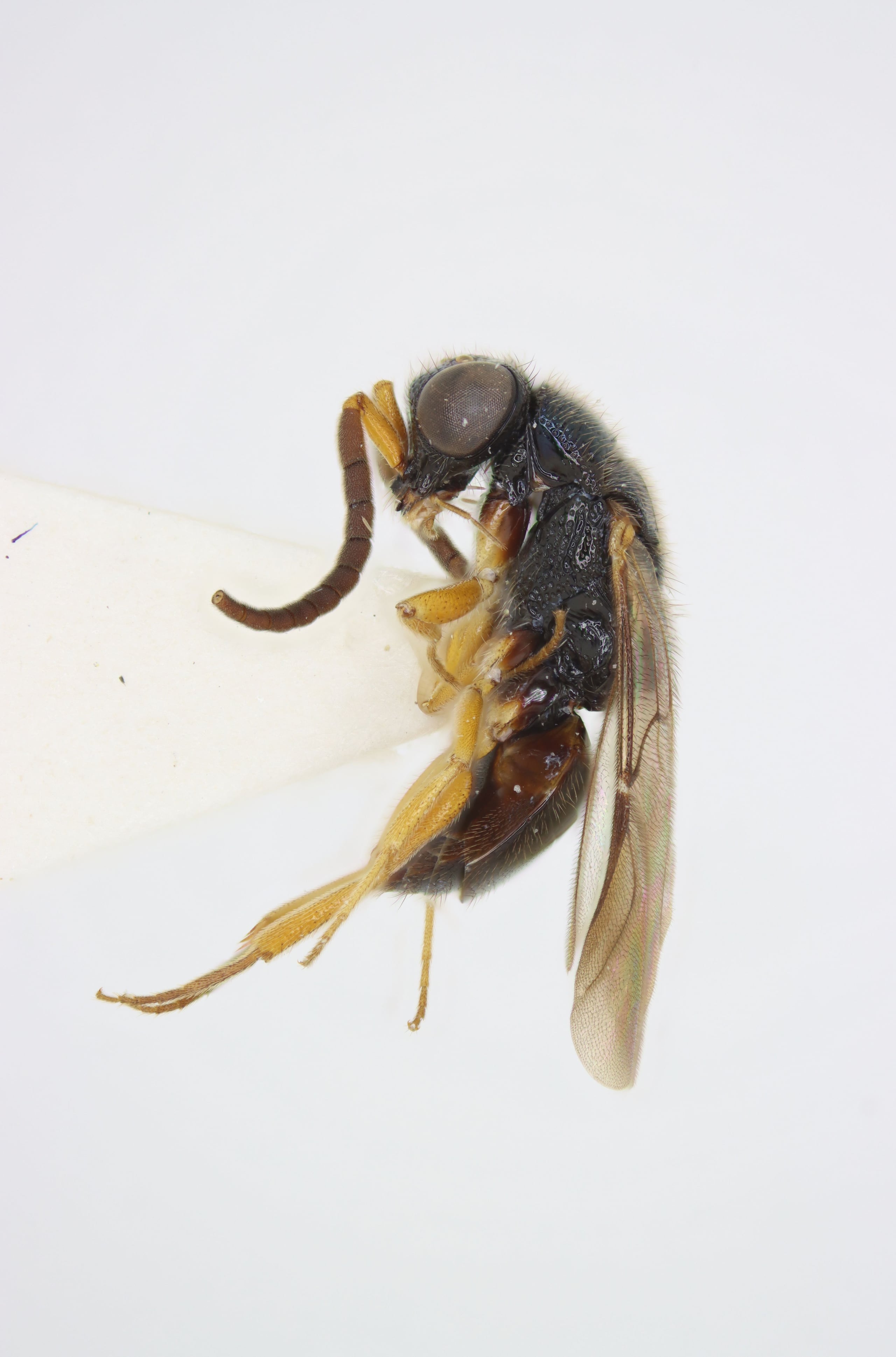 2025-04-07 20-13-14 (B,R8,S4).jpg