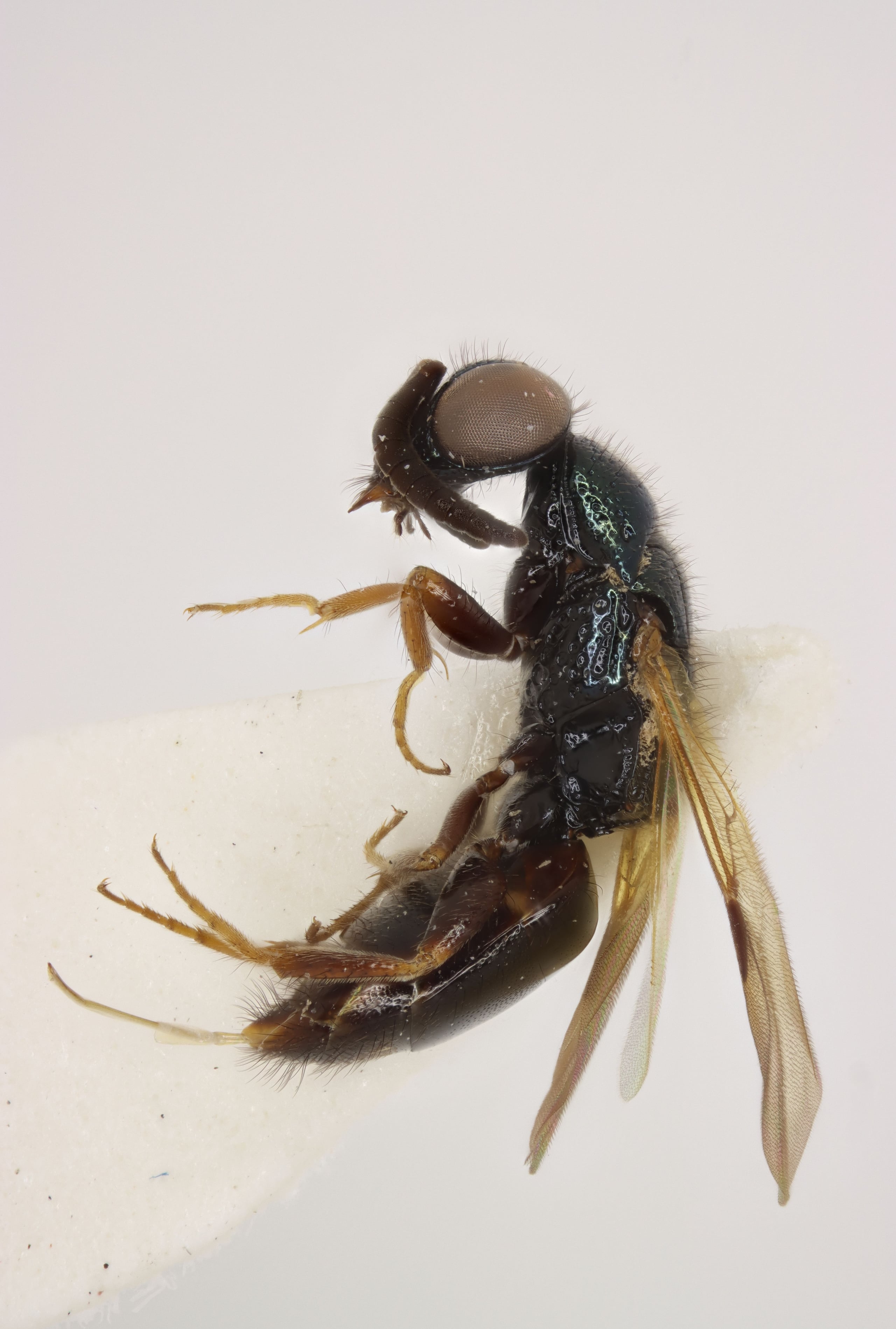 2025-12-28 15-18-09 (C,S4).jpg