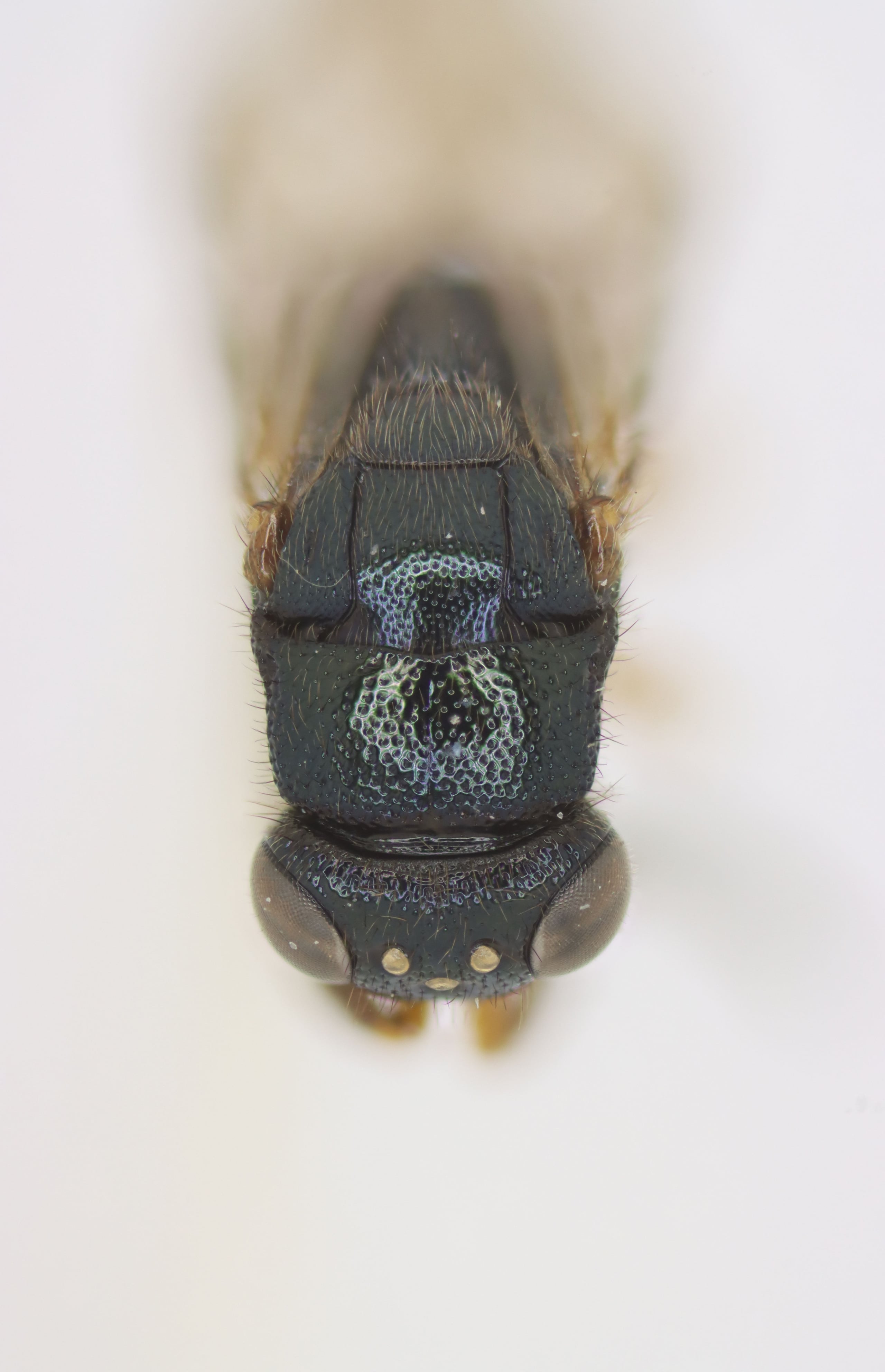 2025-04-07 20-55-15 (B,R8,S4).jpg