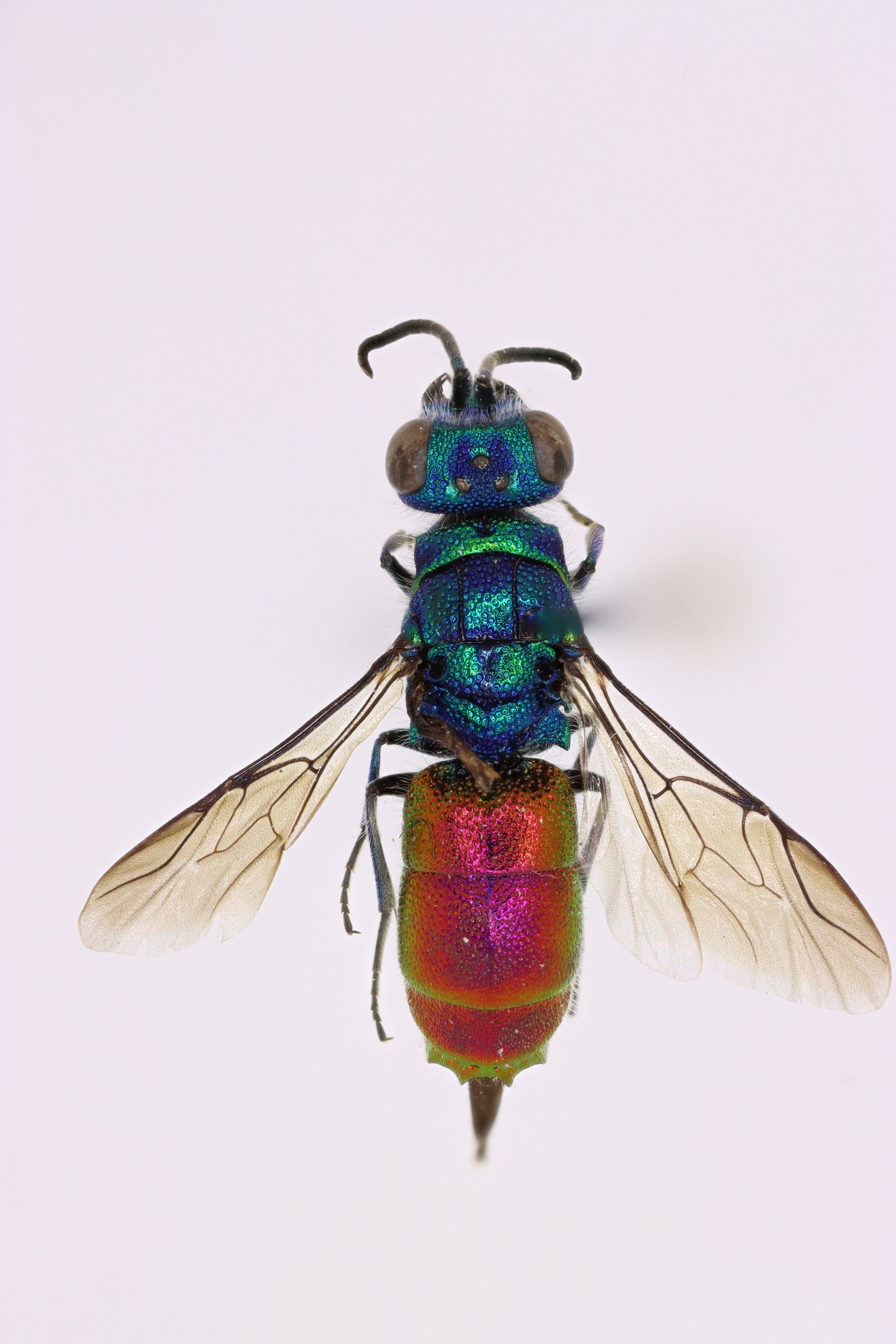 2025-12-28 16-29-06 (C,S4).jpg