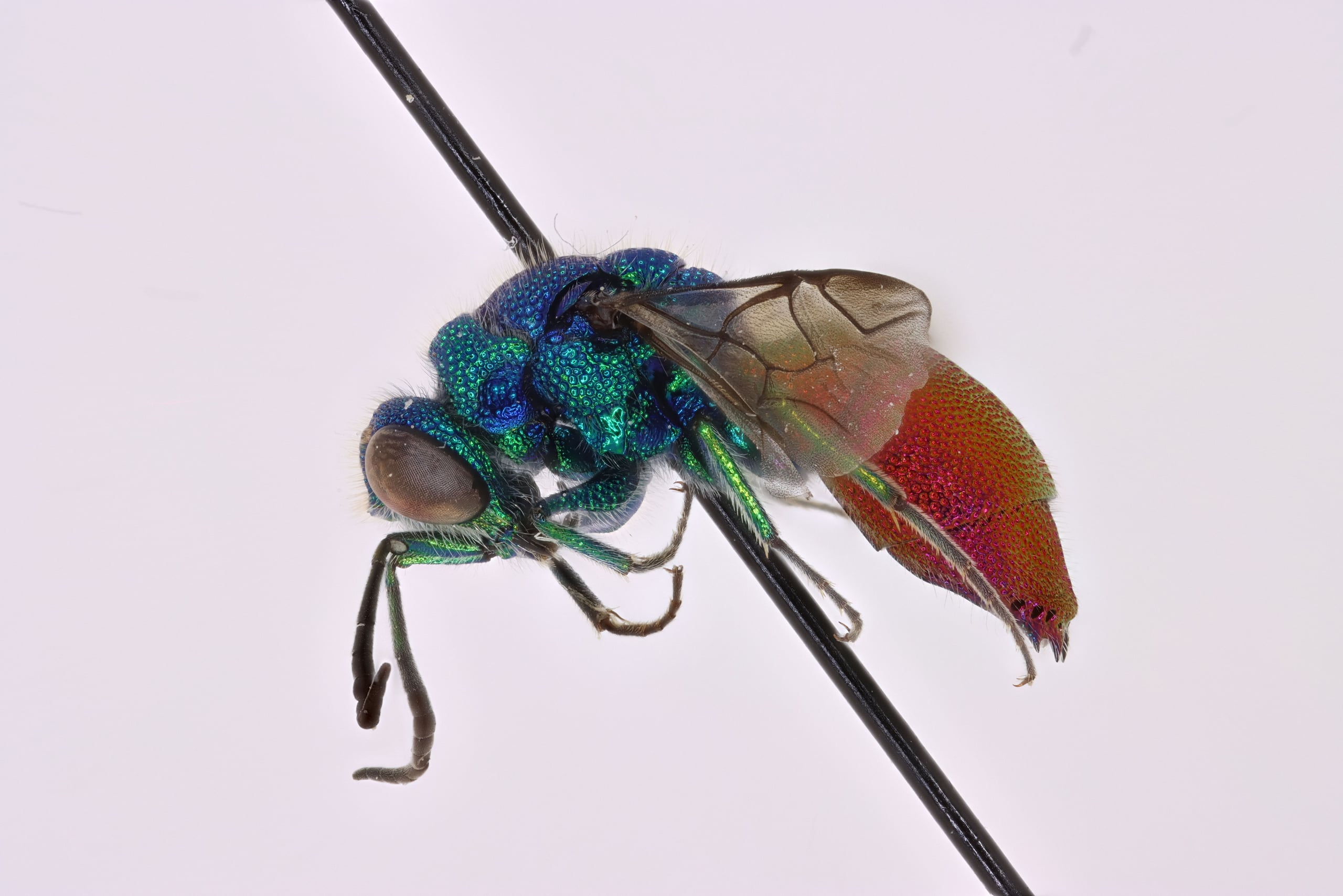 2026-01-05 12-53-04 (C,S4).jpg