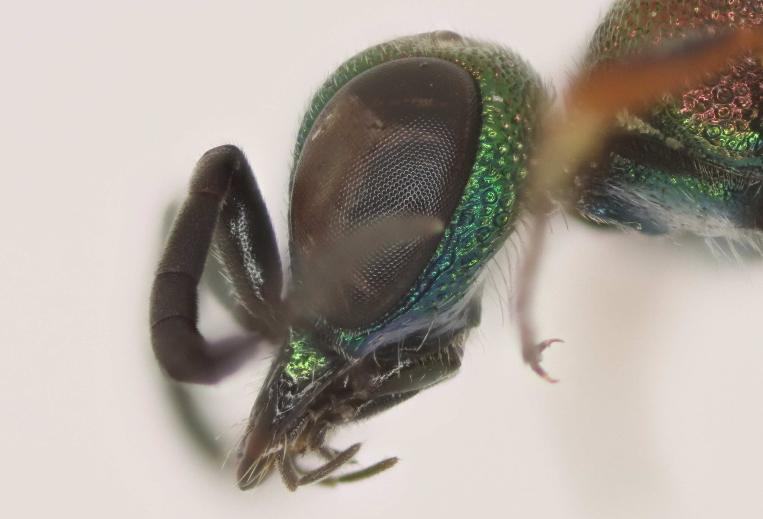 2025-09-08 10-29-32 (C,S5).jpg