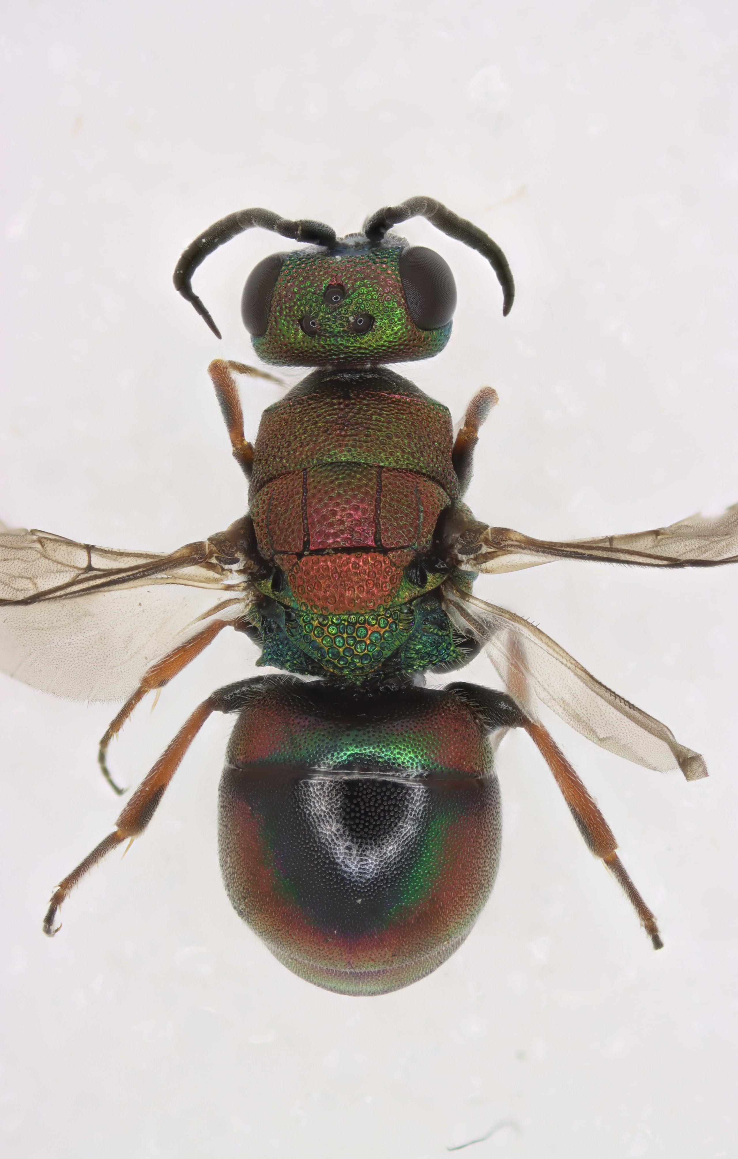 2025-06-21 18-29-01 (C,S5).jpg