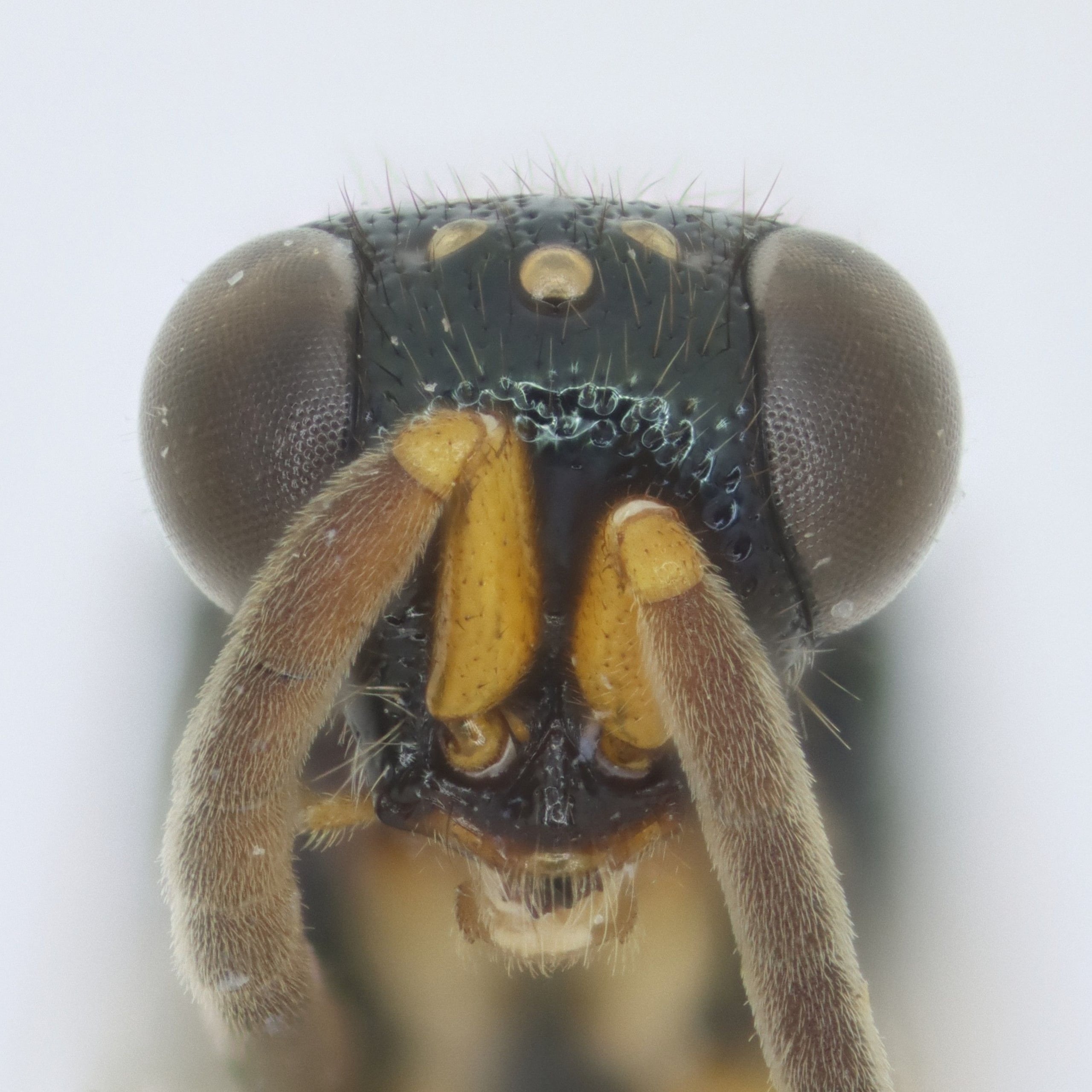 2025-04-14 16-29-41 (C,S4).jpg