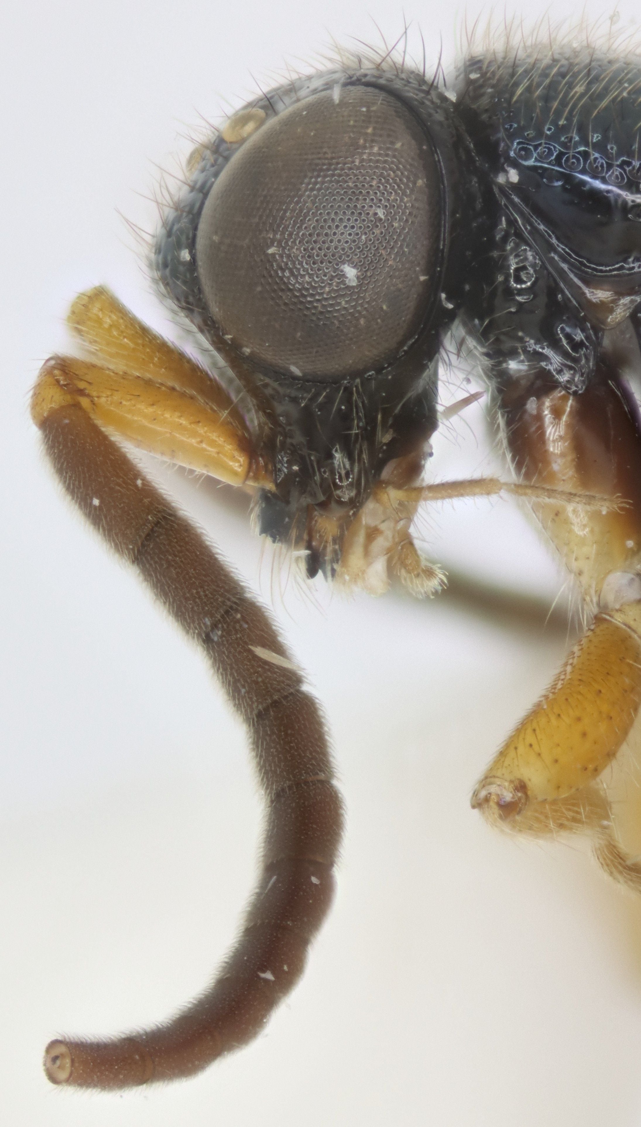 2025-04-14 17-14-32 (C,S4).jpg