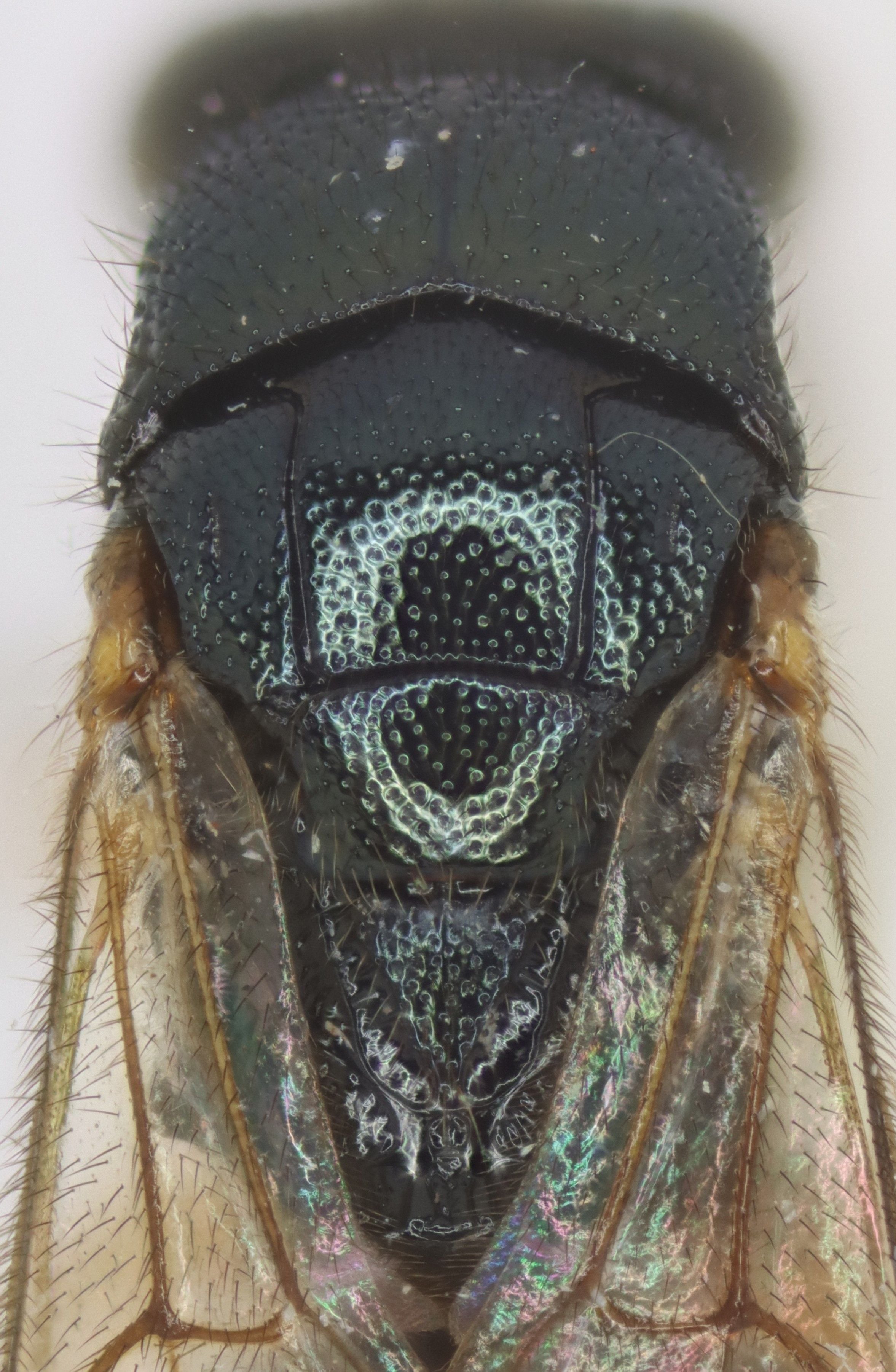 2025-04-14 16-35-22 (C,S4).jpg