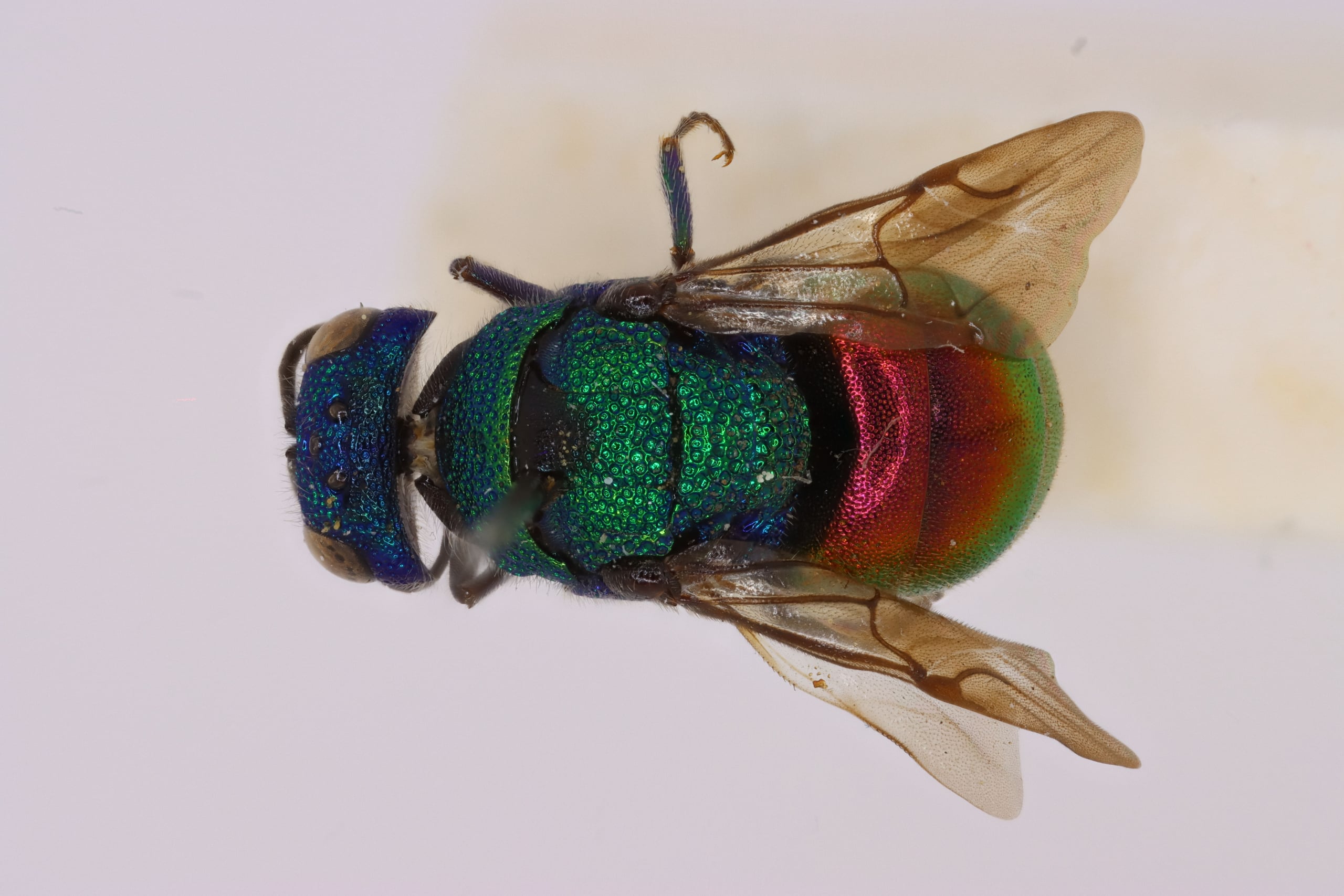 2026-01-02 13-23-44 (C,S4).jpg