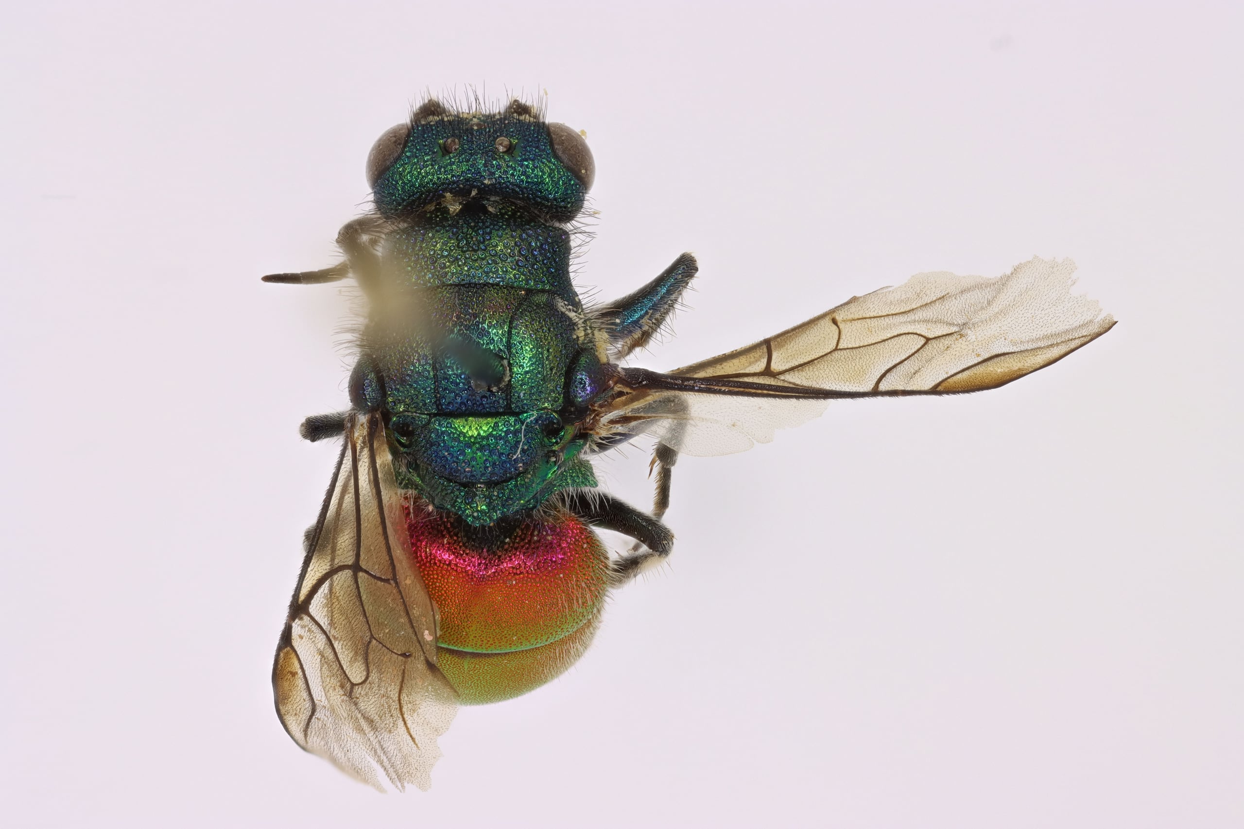 2026-01-05 12-21-00 (C,S4).jpg