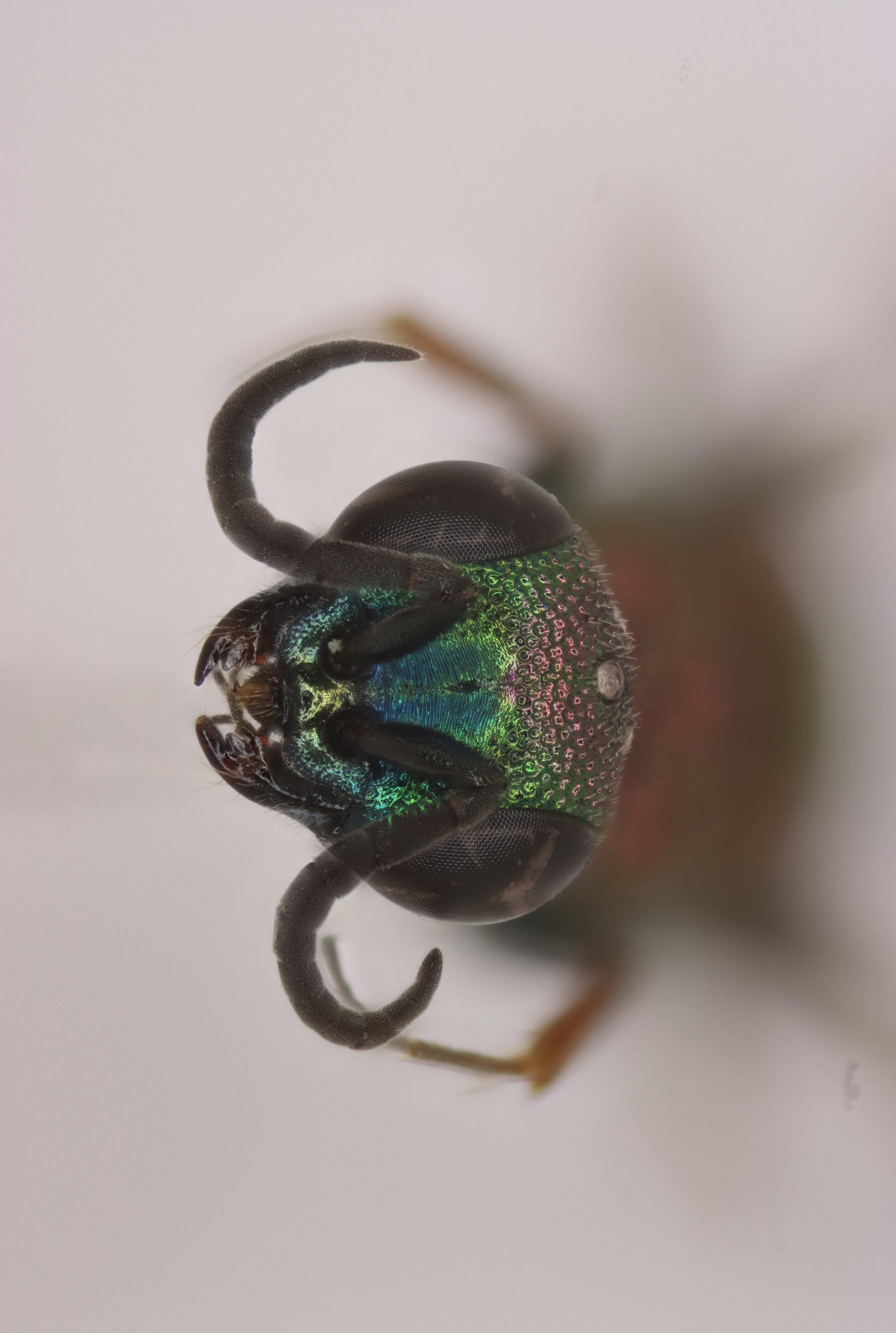 2025-07-01 23-09-06 (C,S5).jpg